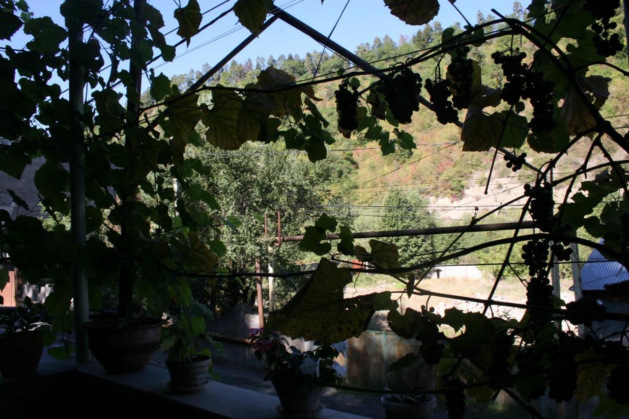 קאחתי Guest House Nima מראה חיצוני תמונה